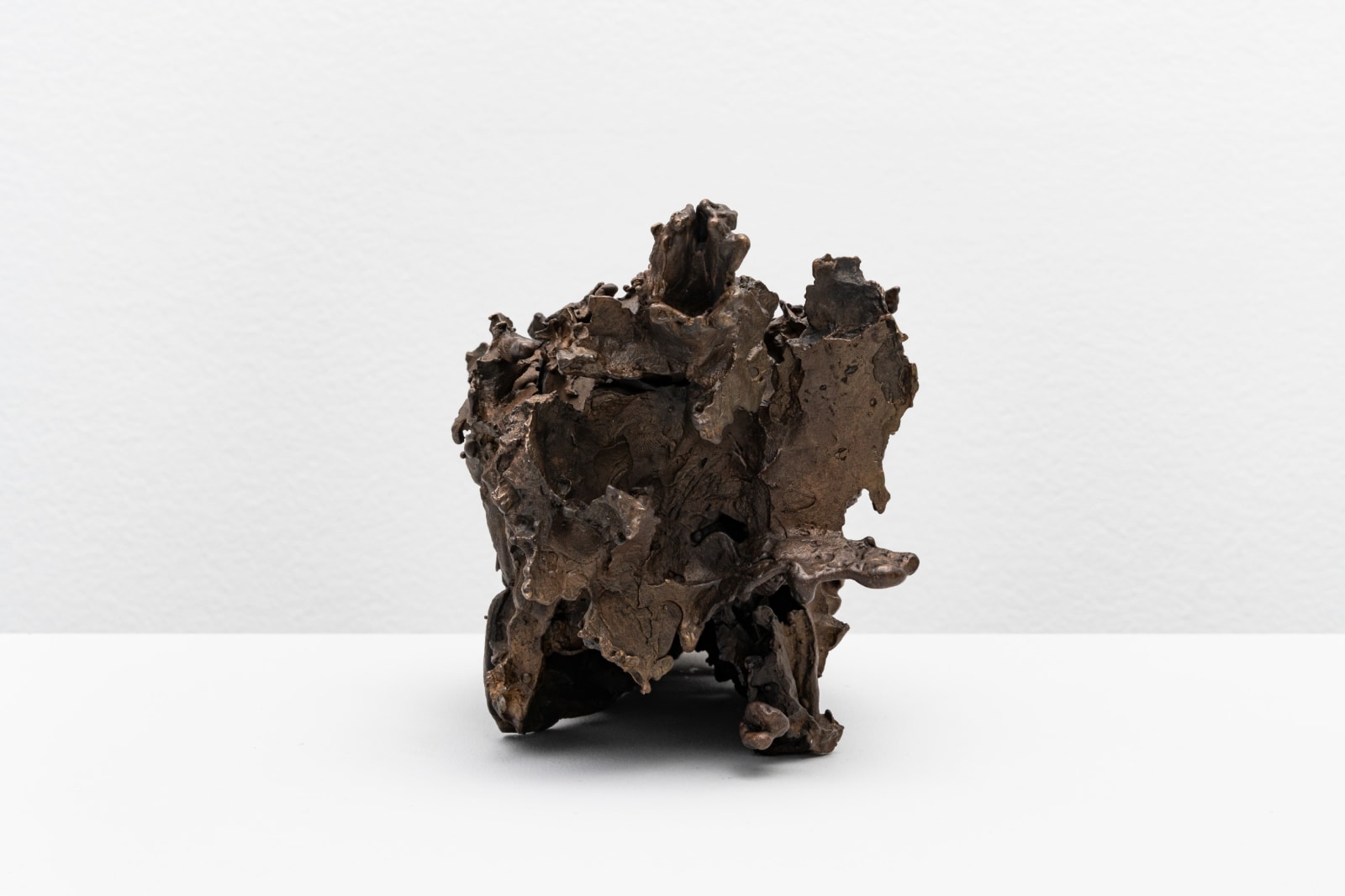 CHRISTIAN GONZENBACH, Die Wilde Jagd (lama glama) , 2020
