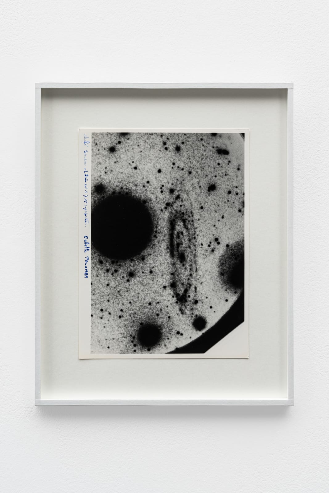 CAROLINE CORBASSON, Distance II, 2020