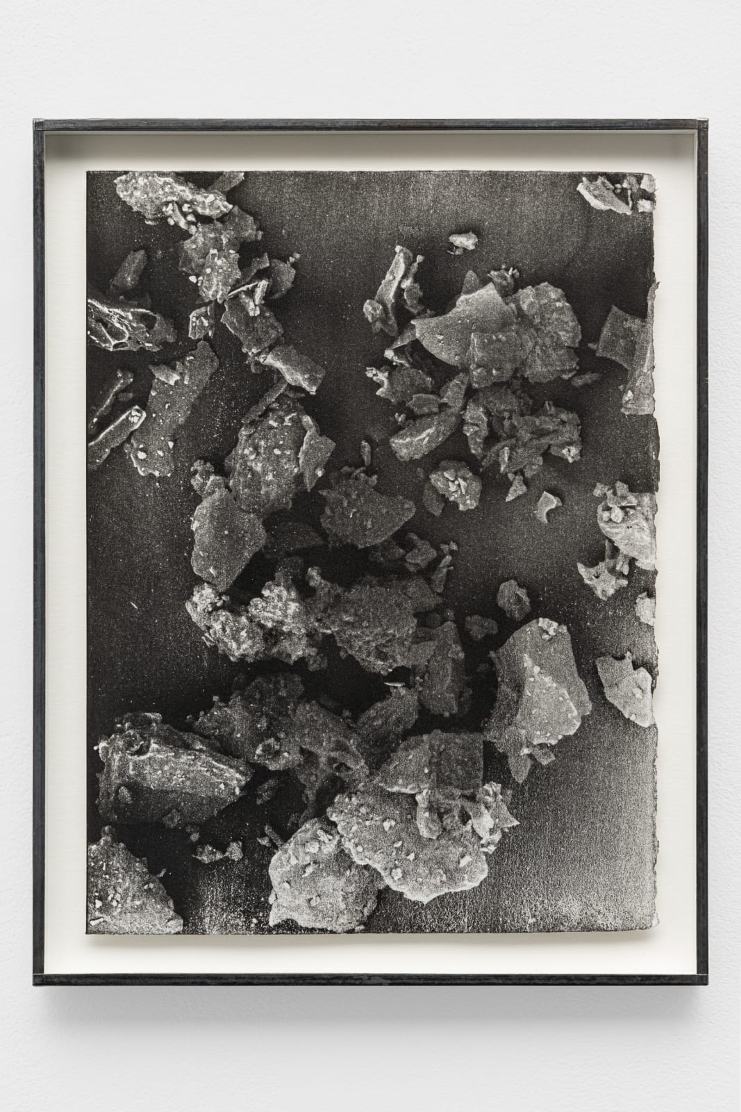 CAROLINE CORBASSON, Fields, 2017