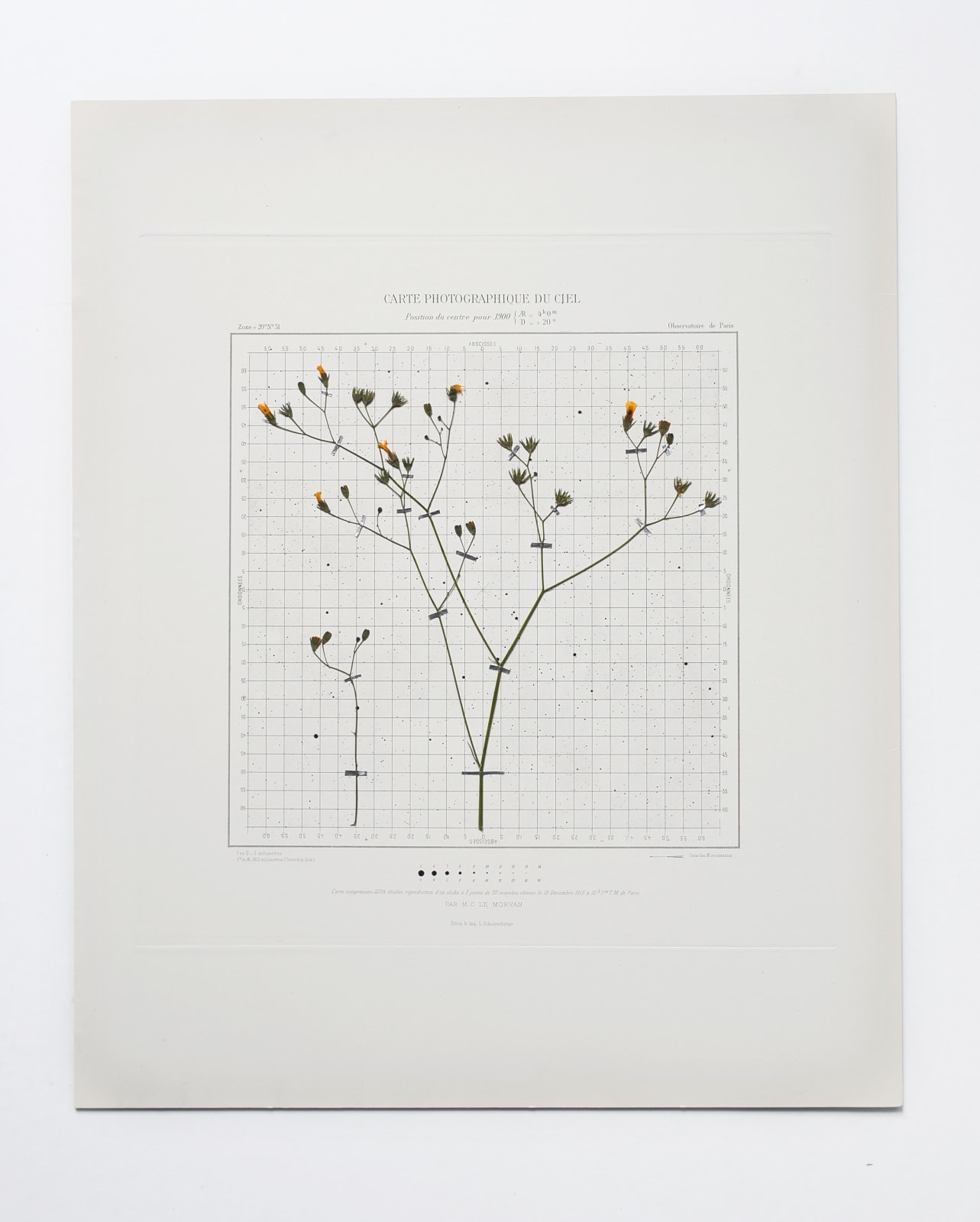 CAROLINE CORBASSON, Starlight II, 2020