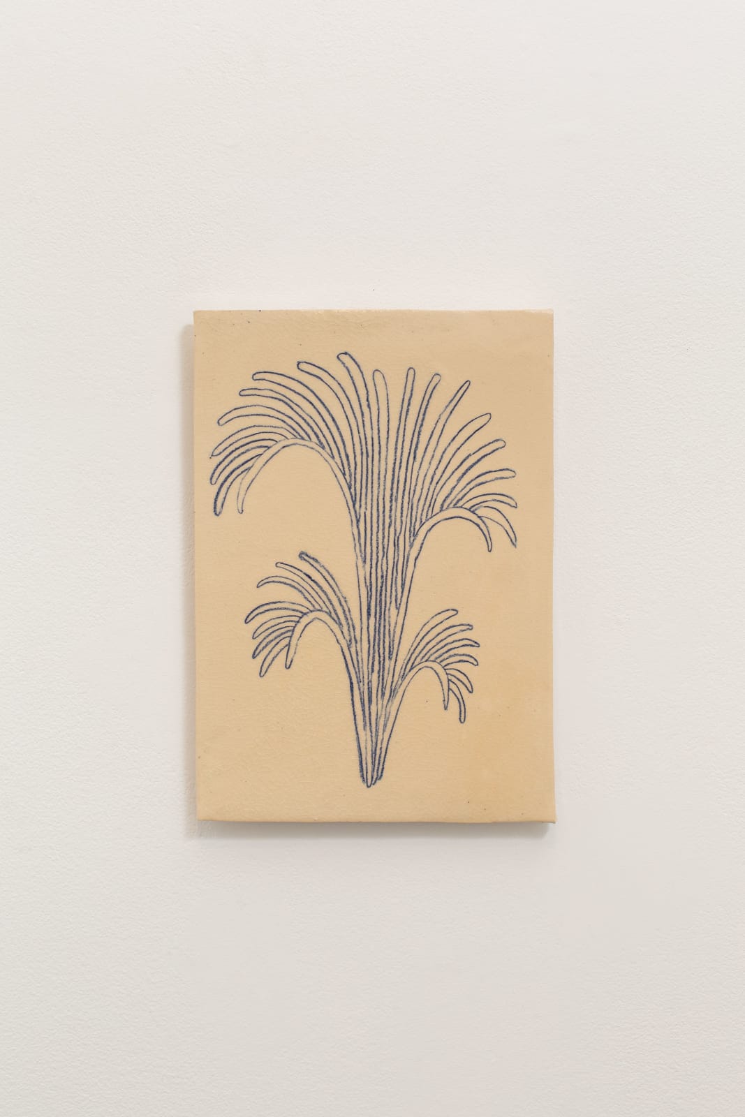 SELINA BAUMANN, Aktinia , 2021