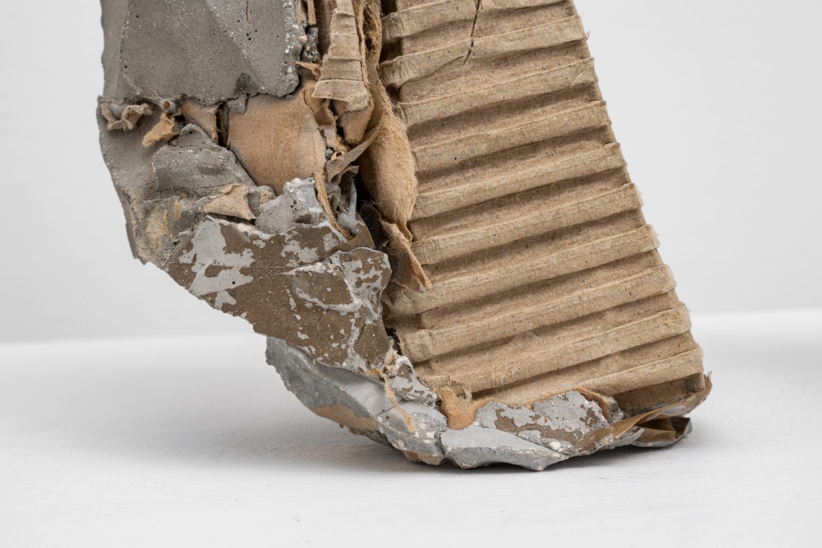 MORGANE TSCHIEMBER, Rash, 2015