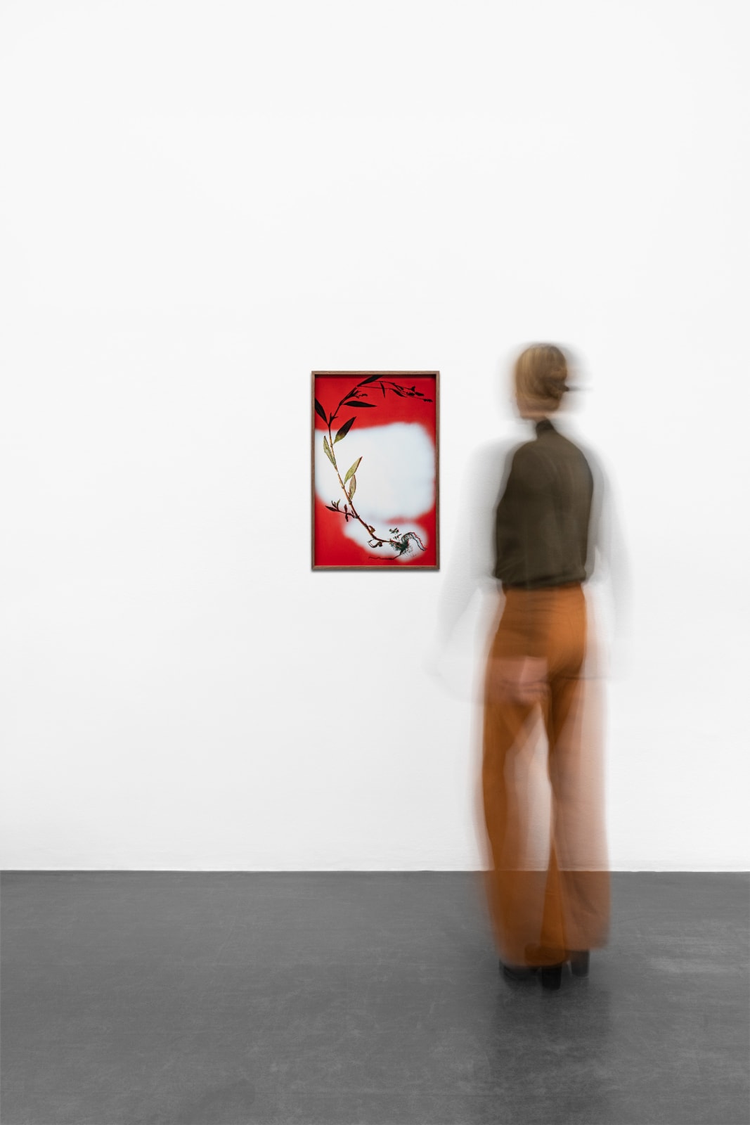 Bernard Voïta, Herbier populaire VI, 2017