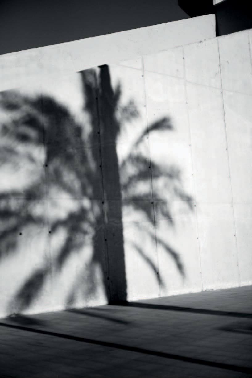 KOKA RAMISHVILI, Gaze (Shadow), 2016