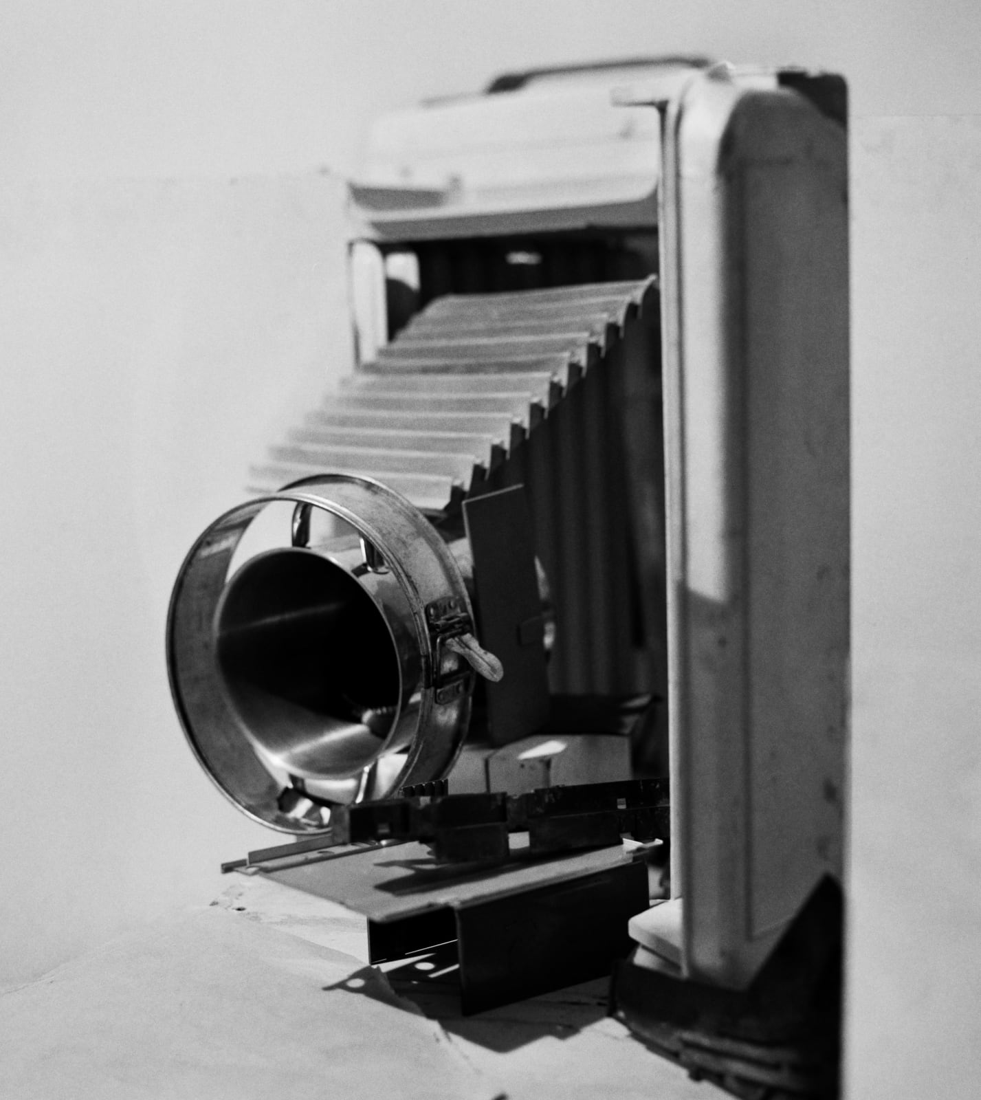 Bernard Voïta, Camera VIII, 2003-08