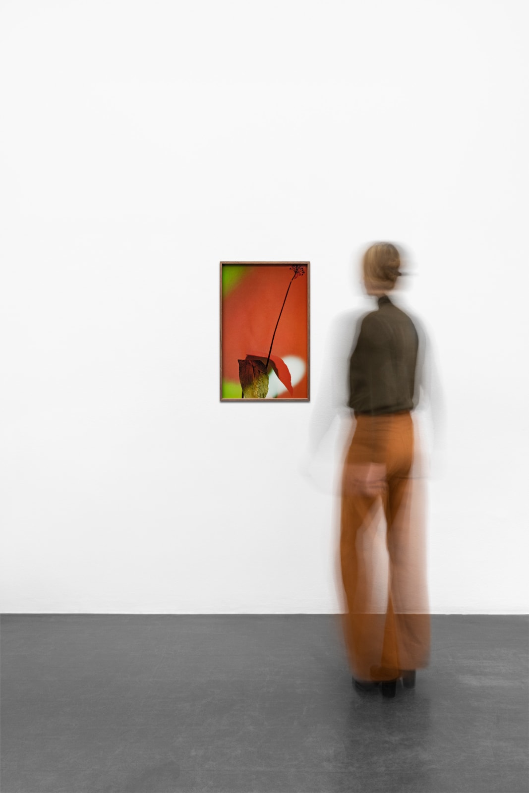 Bernard Voïta, Herbier populaire V, 2017