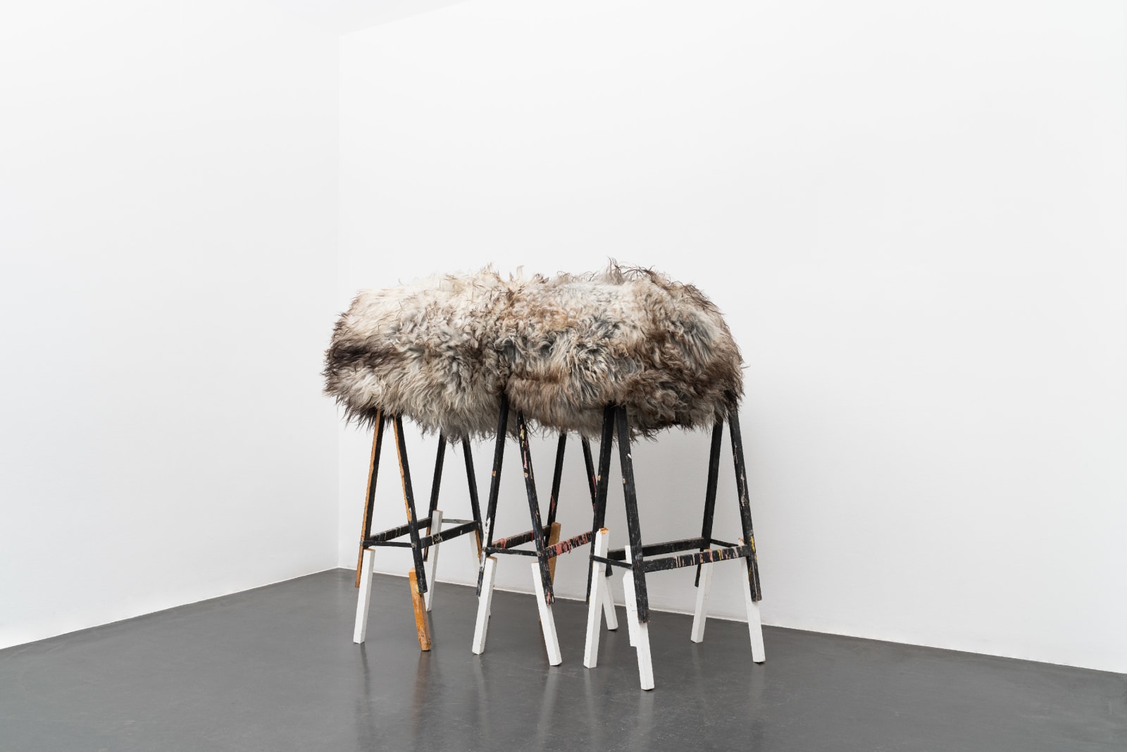 Les Frères Chapuisat , Cellule dormante, 2008