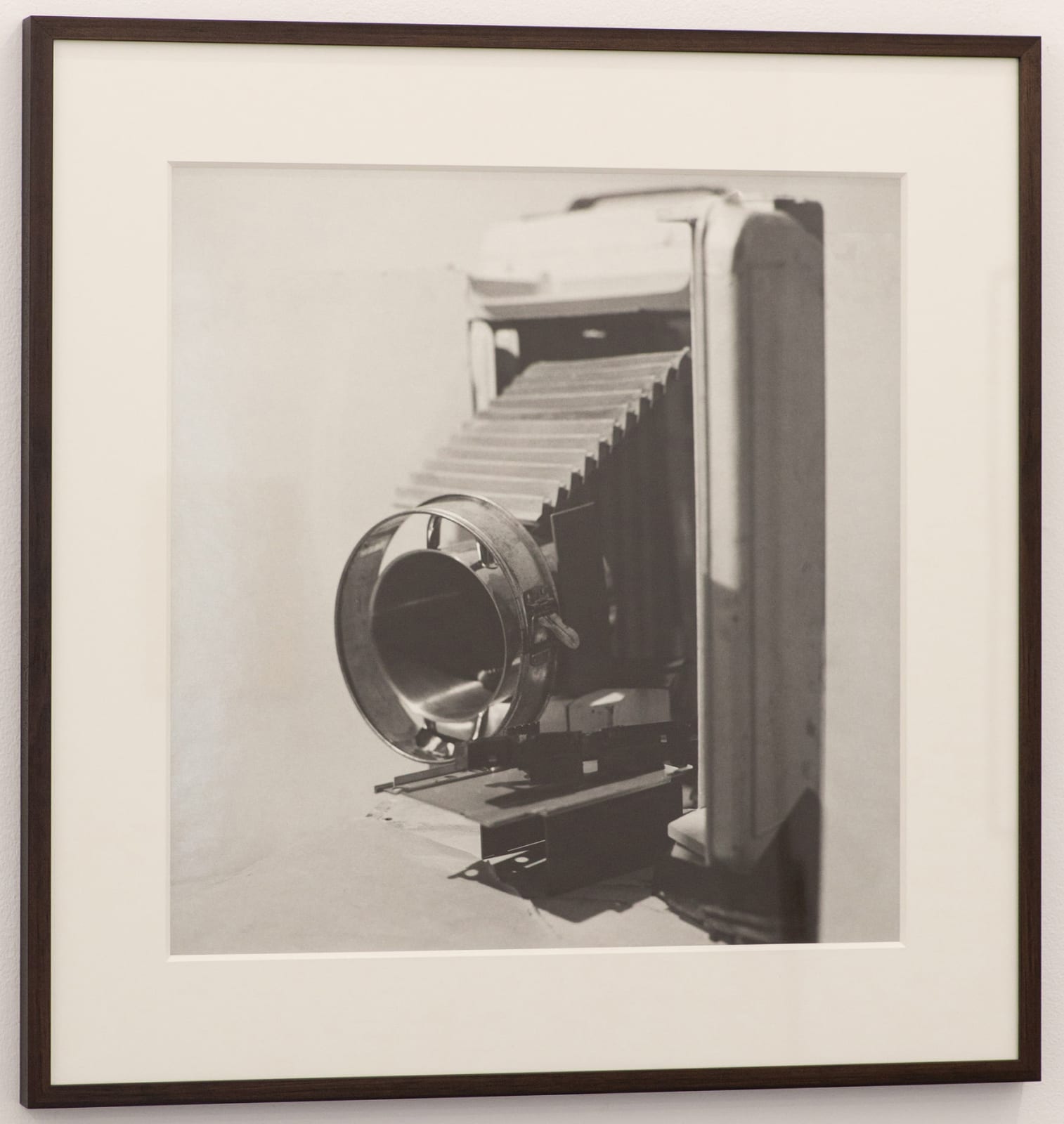 Bernard Voïta, Camera VIII, 2003-08