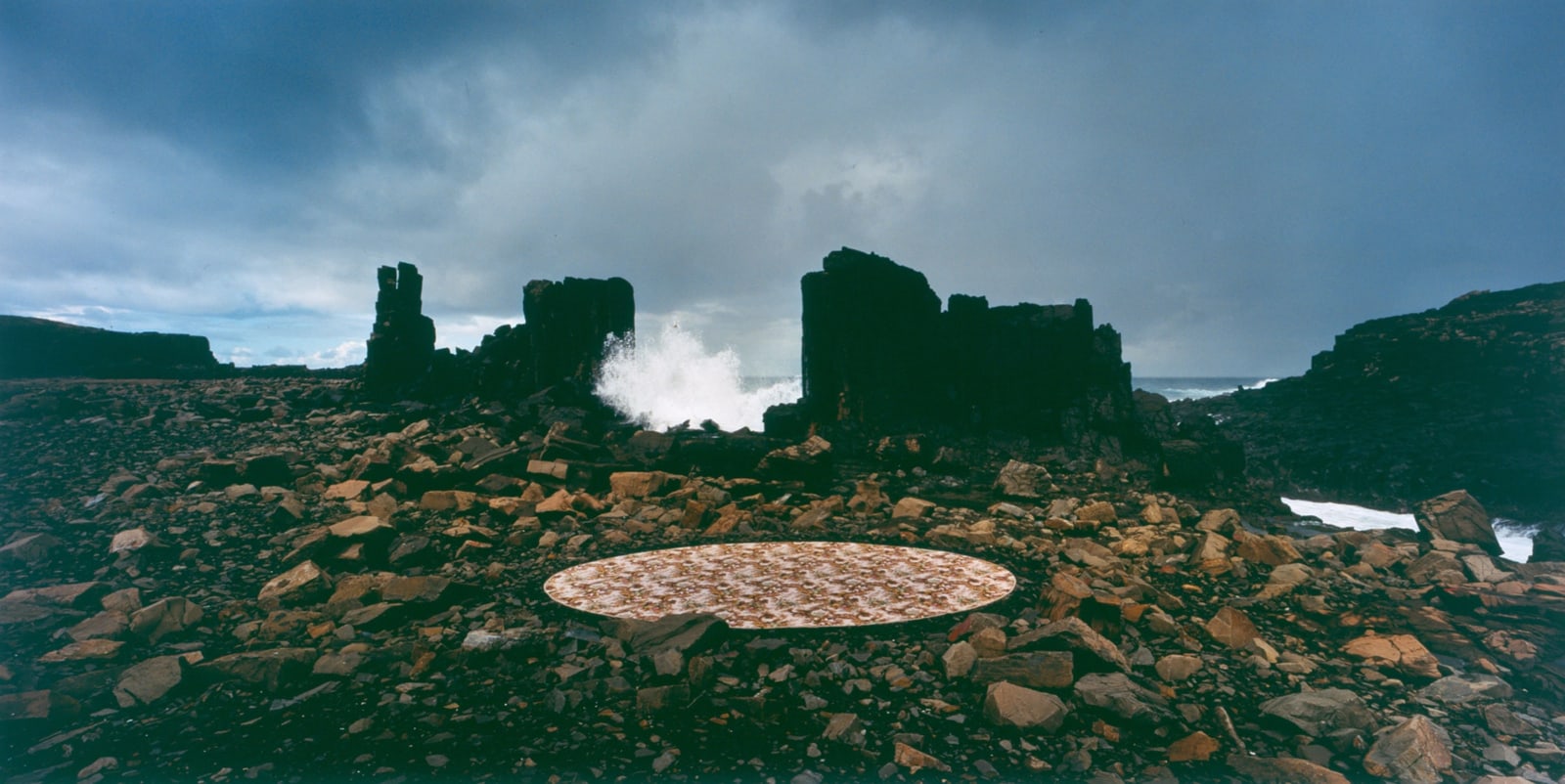 Rosemary Laing, groundspeed (Harrogate Flower) #10, 2001