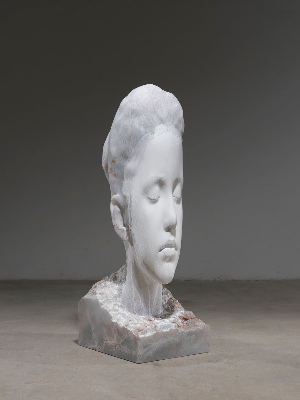 Jaume Plensa, HORTENSIA, 2021