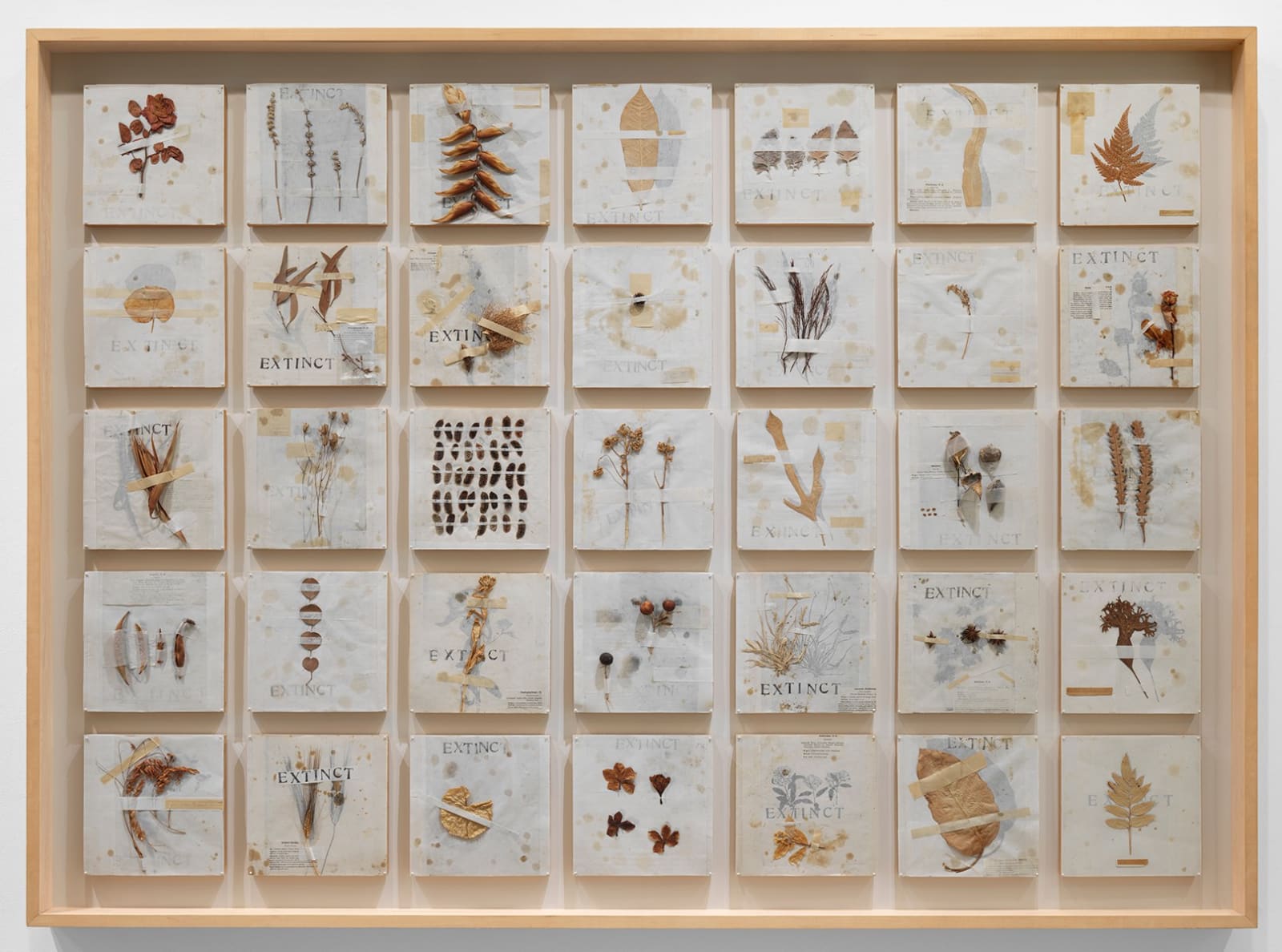 Michelle Stuart, Extinct, 1992