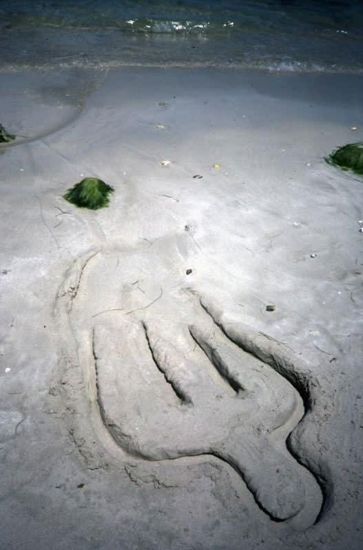 Ana Mendieta, Untitled, 1981