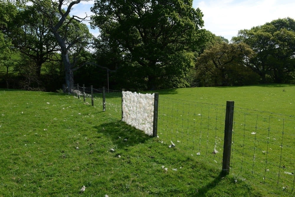 Andy Goldsworthy, Sheep fence / Dumfriesshire, Scotland / 25 May 2018, 2018