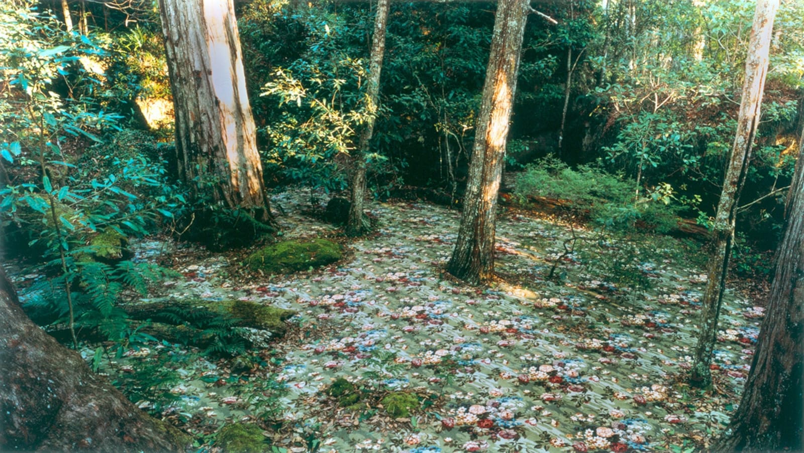 Rosemary Laing, groundspeed (Rose Petal) #17, 2001