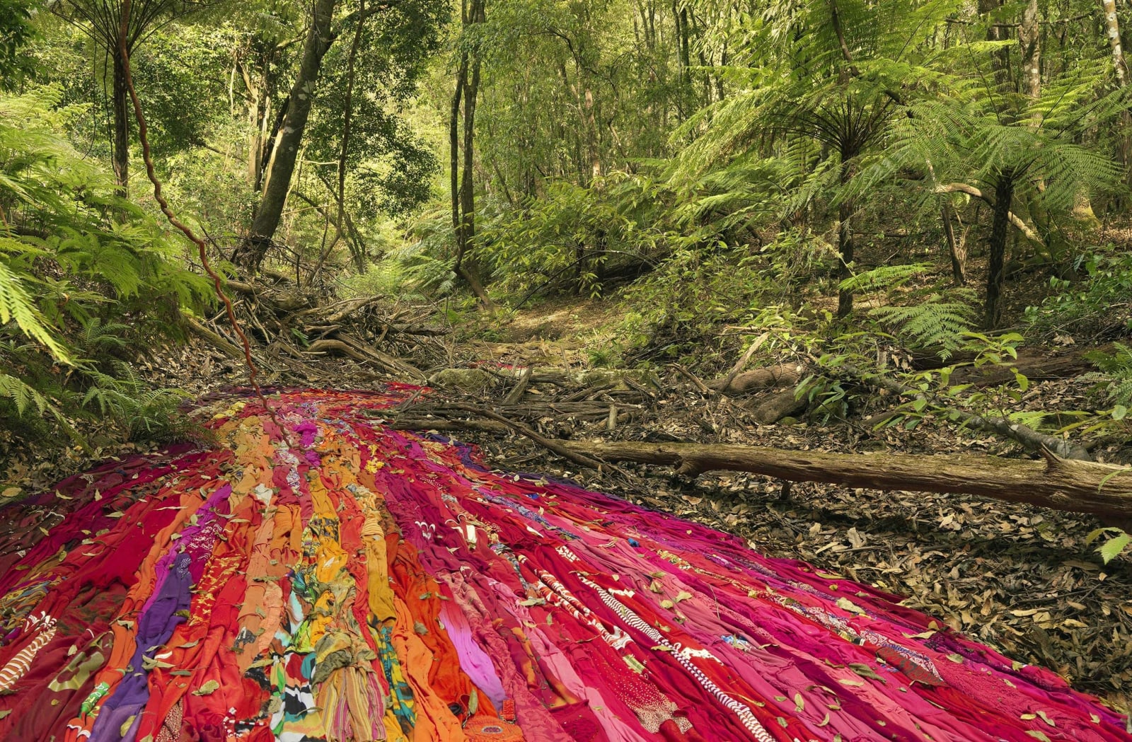 Rosemary Laing, Drapery and wattle, 2017