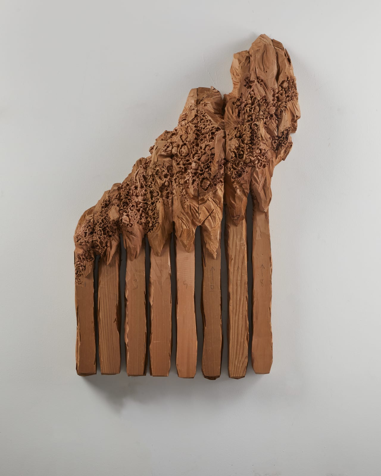 Ursula von Rydingsvard, GRZEBIEŃ BIATY, 2022