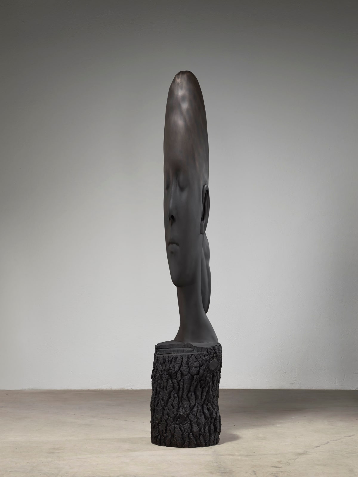 Jaume Plensa, Minna, 2022