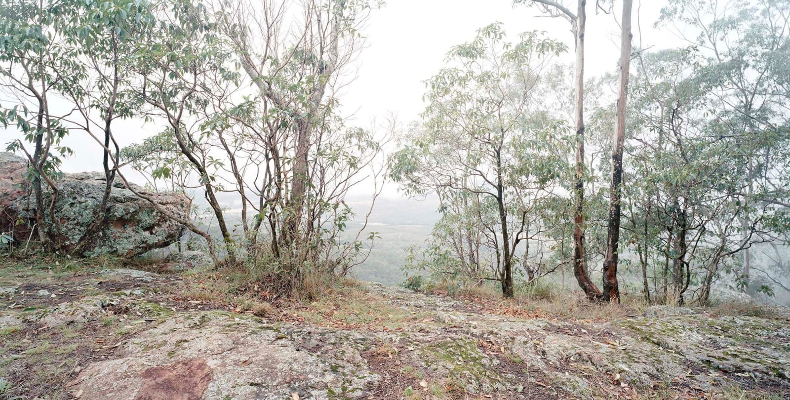 Rosemary Laing, Spicer's leap, 2012
