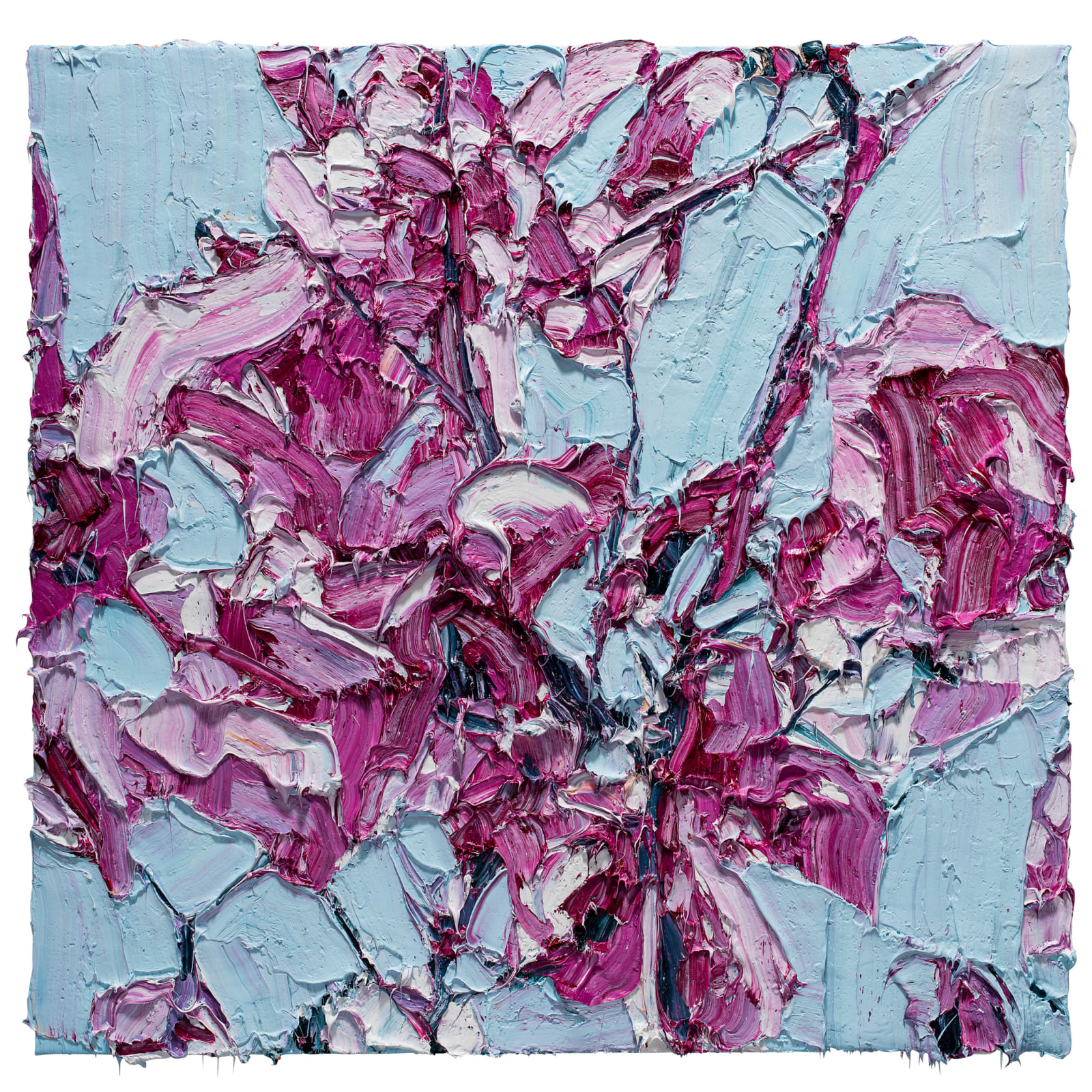 Alesandro Ljubicic, Magnolia Among Cherron, 2017