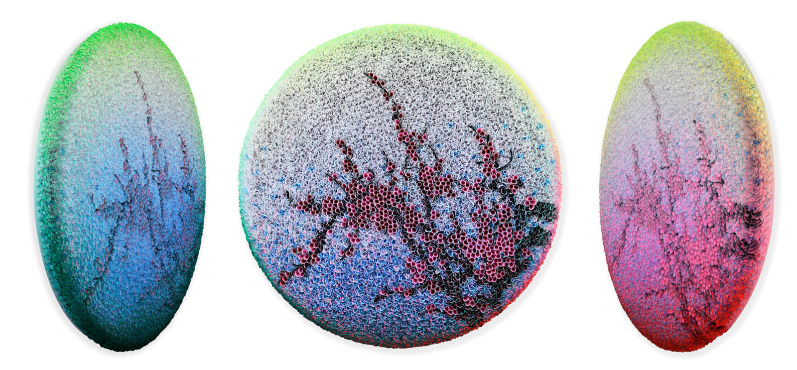Zhuang Hong-Yi, Sakura Spring, 2025