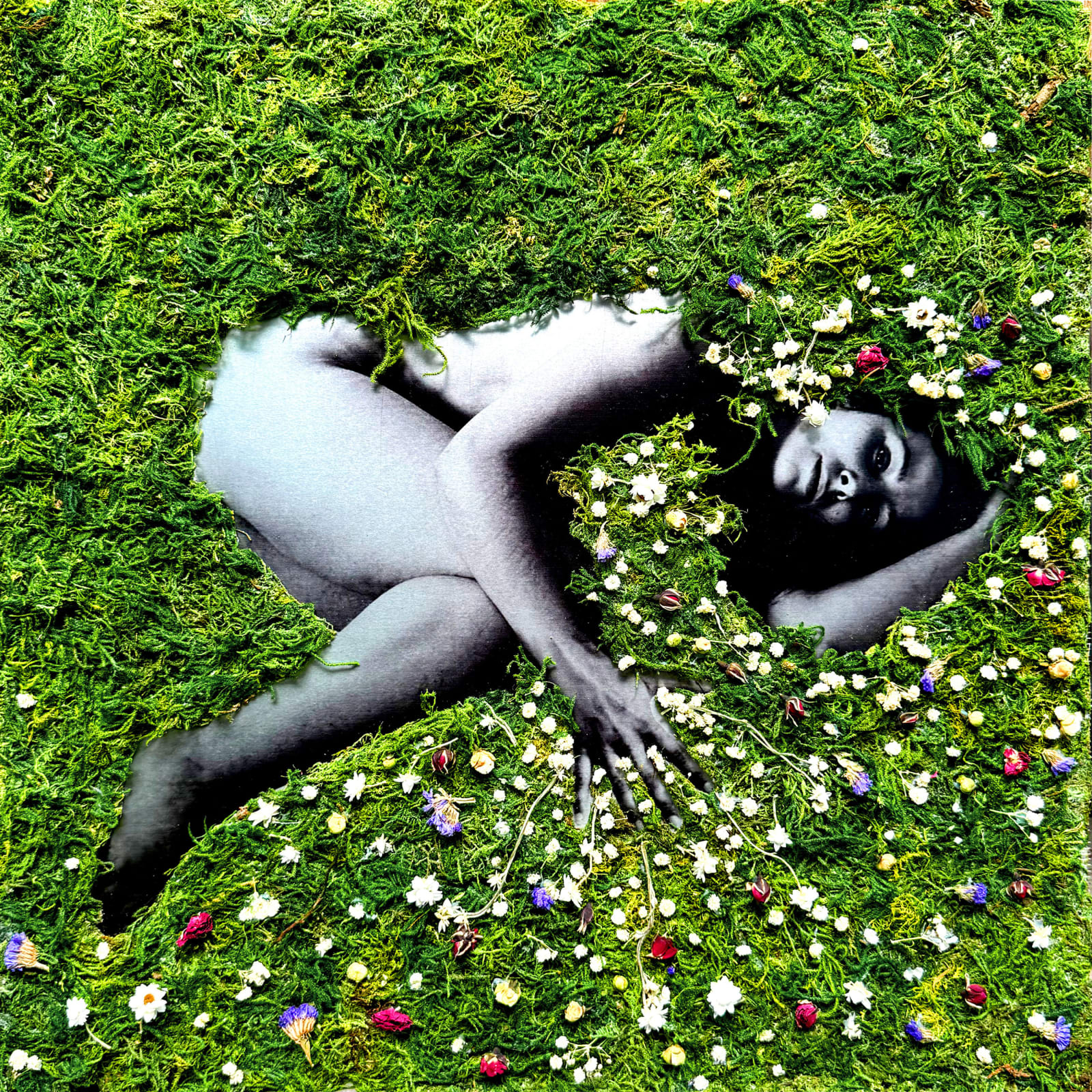 Marie-Josée Roy, Infinie Memoire #2, 2025