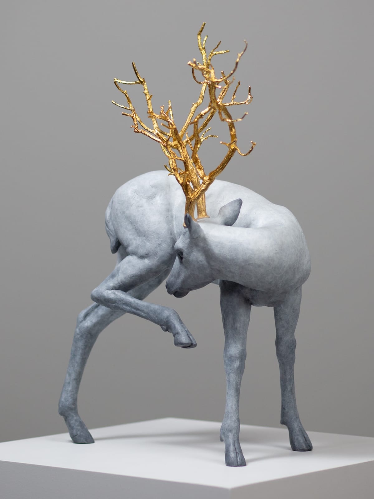 Coderch & Malavia, Forest Guardian, 2024