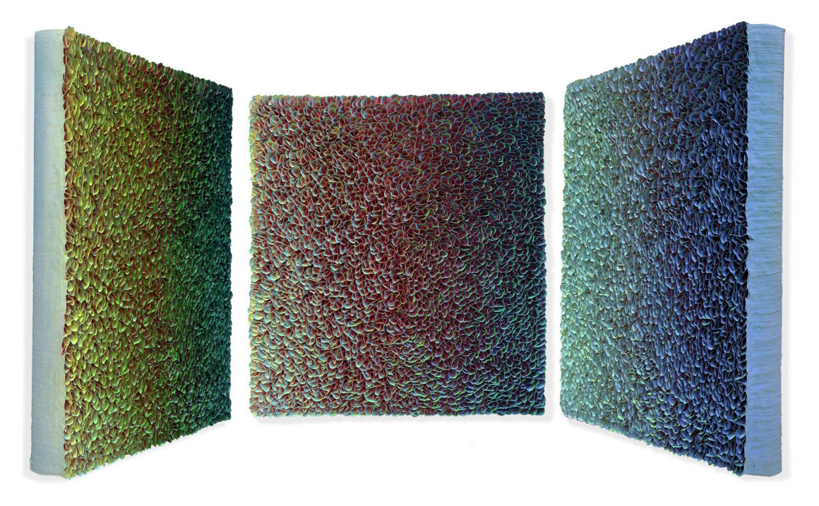 Zhuang Hong-Yi, Under the Lilypads, 2020