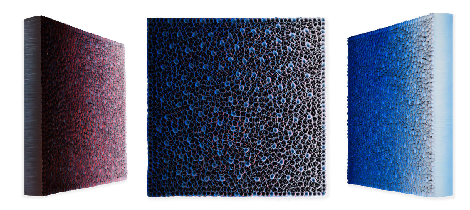 Zhuang Hong-Yi, The Garden of Stars, 2025