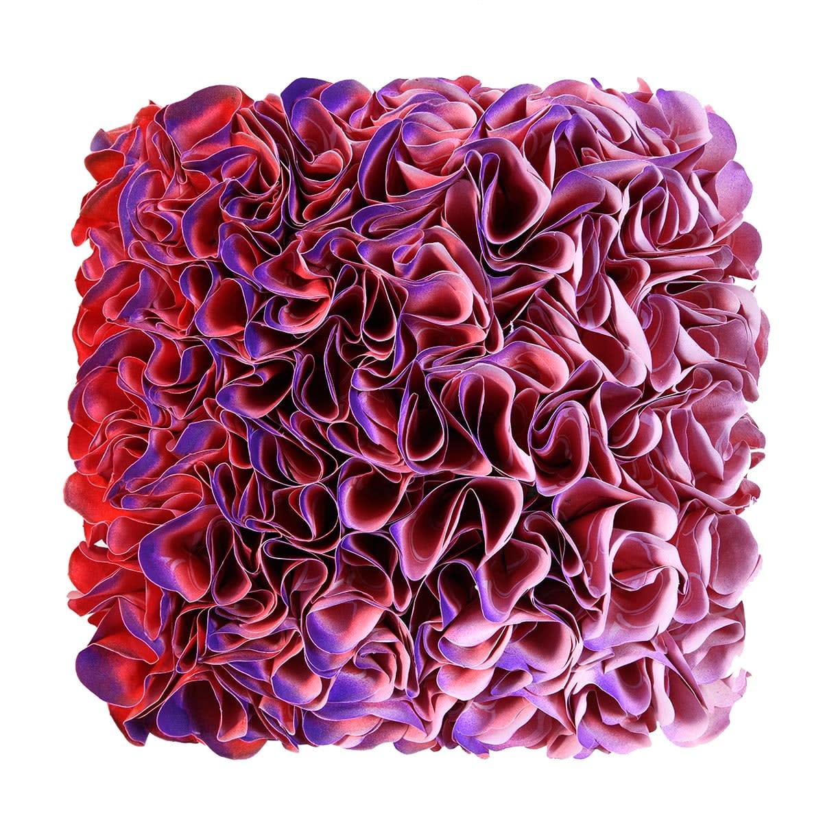 Zhuang Hong-Yi, Mini Flowerbed 241, 2019