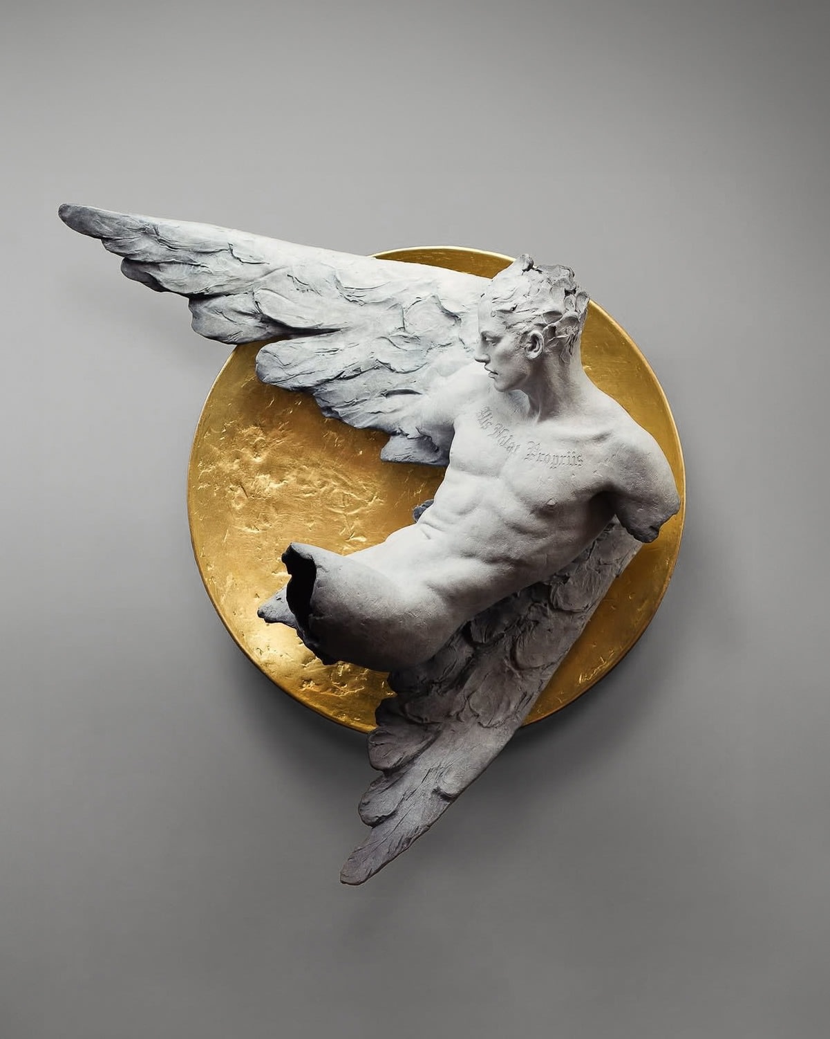 Coderch & Malavia, Alis Volat Propriis con Disco, 2024