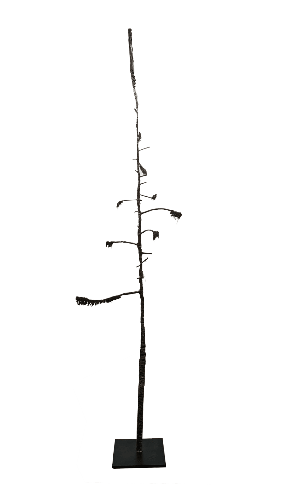 Marie-Josée Roy, Entre Ciel et Terre XII, 2022