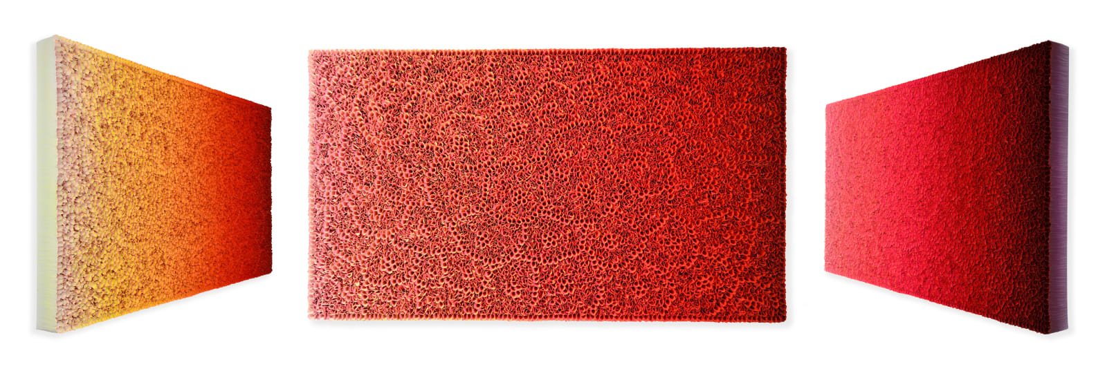 Zhuang Hong-Yi, Autumn Leaves, 2023