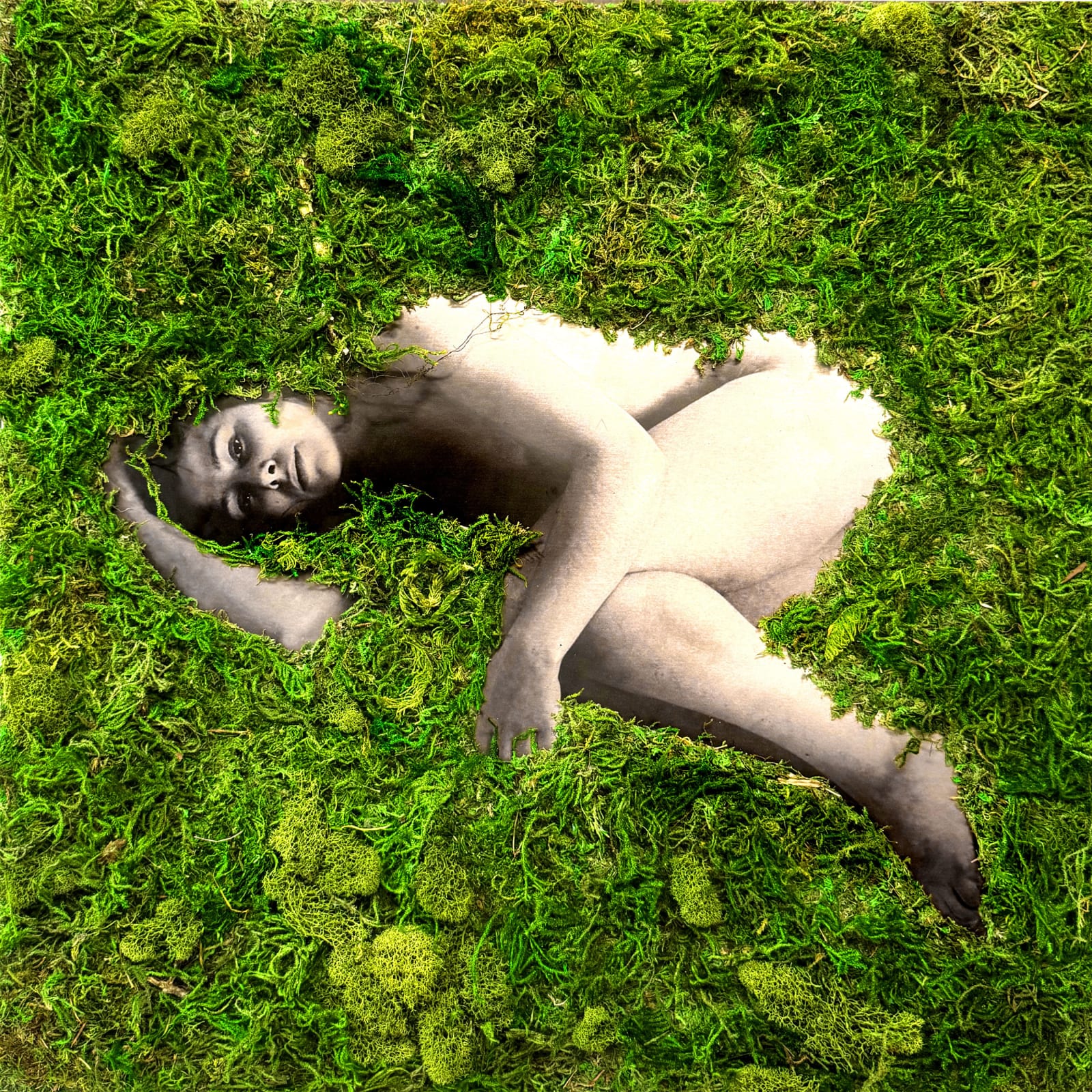 Marie-Josée Roy, Infinie Memoire #1, 2025