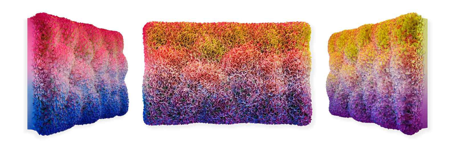 Zhuang Hong-Yi, In the Blooming Light, 2025