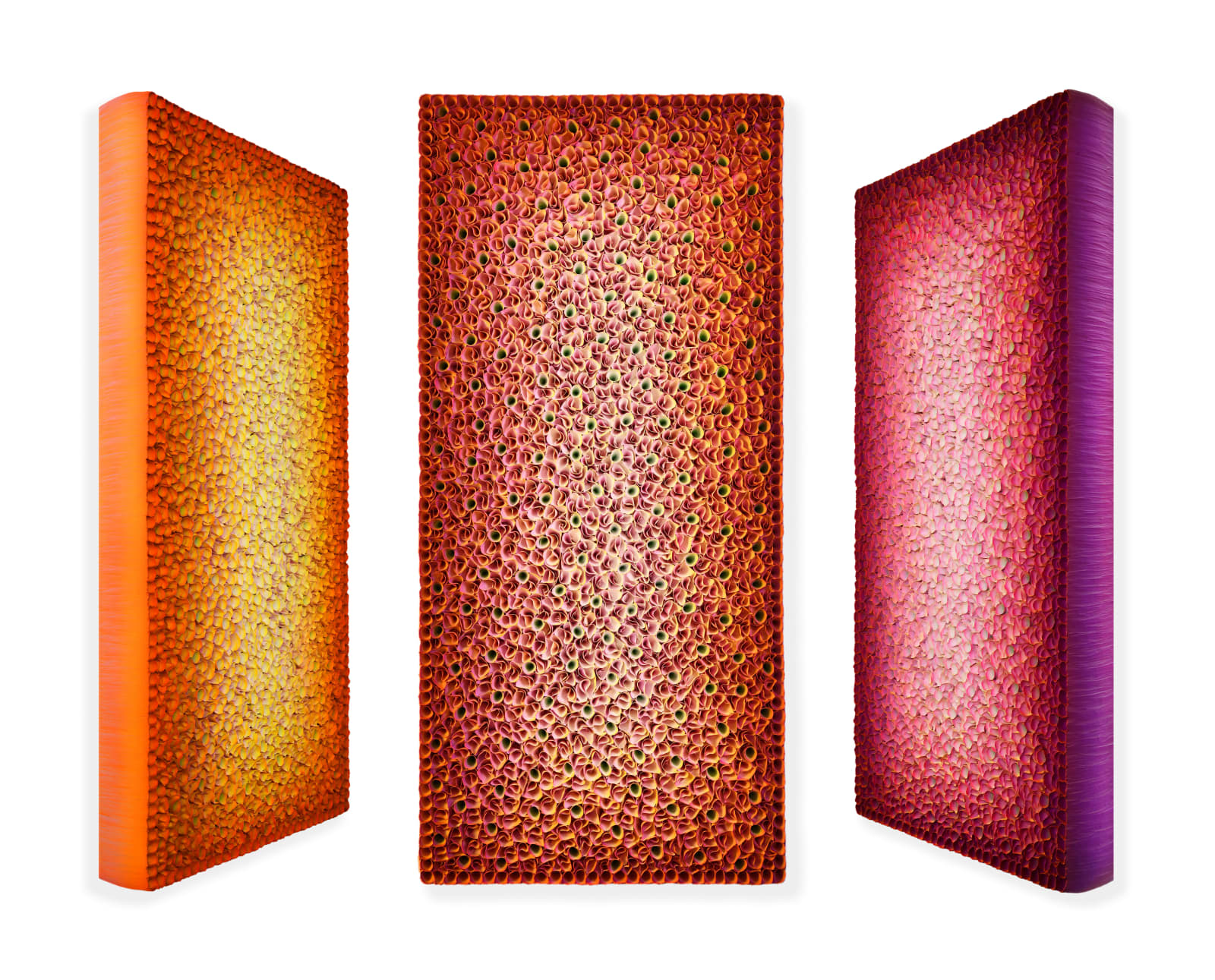 Zhuang Hong-Yi, Aurora of Radiance, 2025