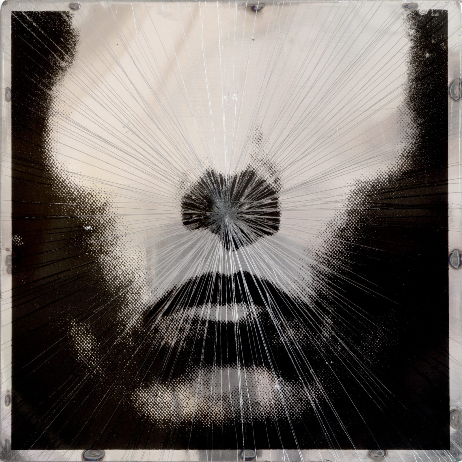 Yoakim Bélanger, DOGMA XS017, 2025