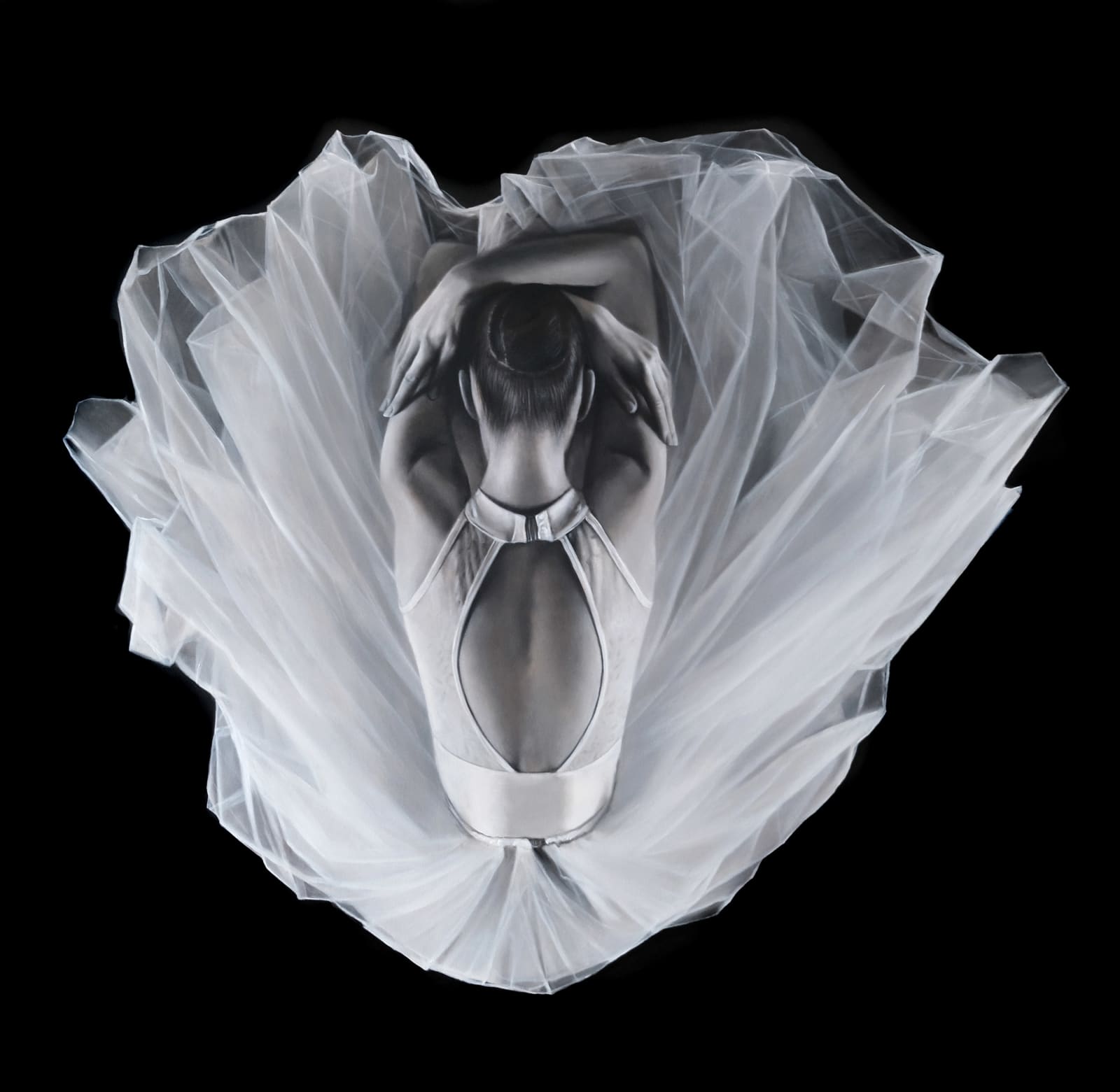 Ognian Zekoff, Silvermoon Light VI (The Poppy), 2024