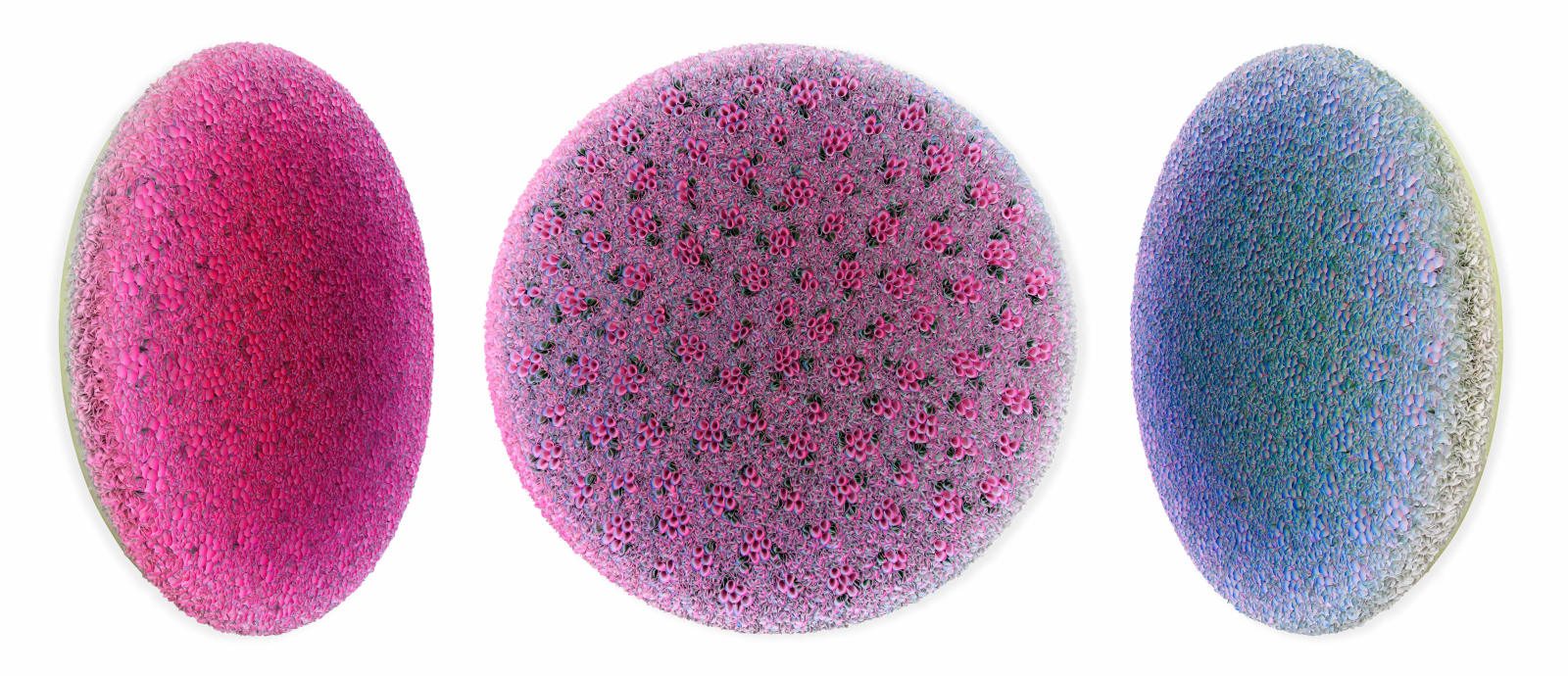 Zhuang Hong-Yi, Starlit Petals, 2023