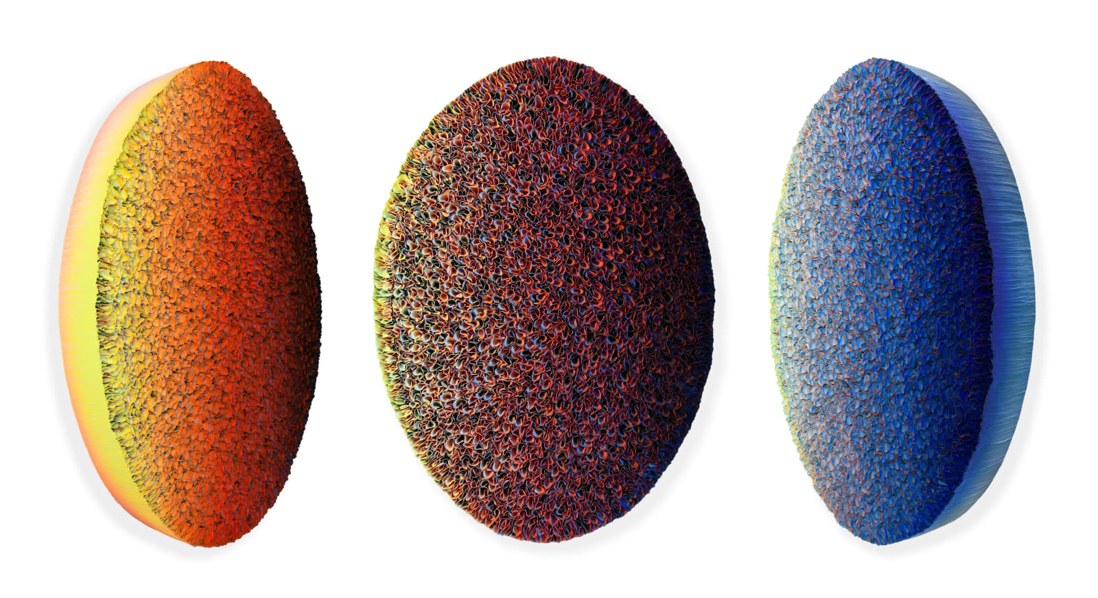 Zhuang Hong-Yi, Twilight Bloom, 2025