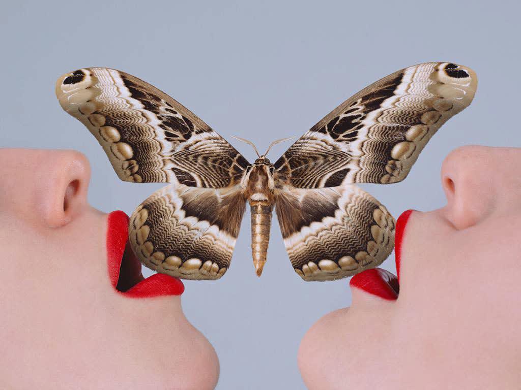 Tyler Shields, Butterfly, 2017