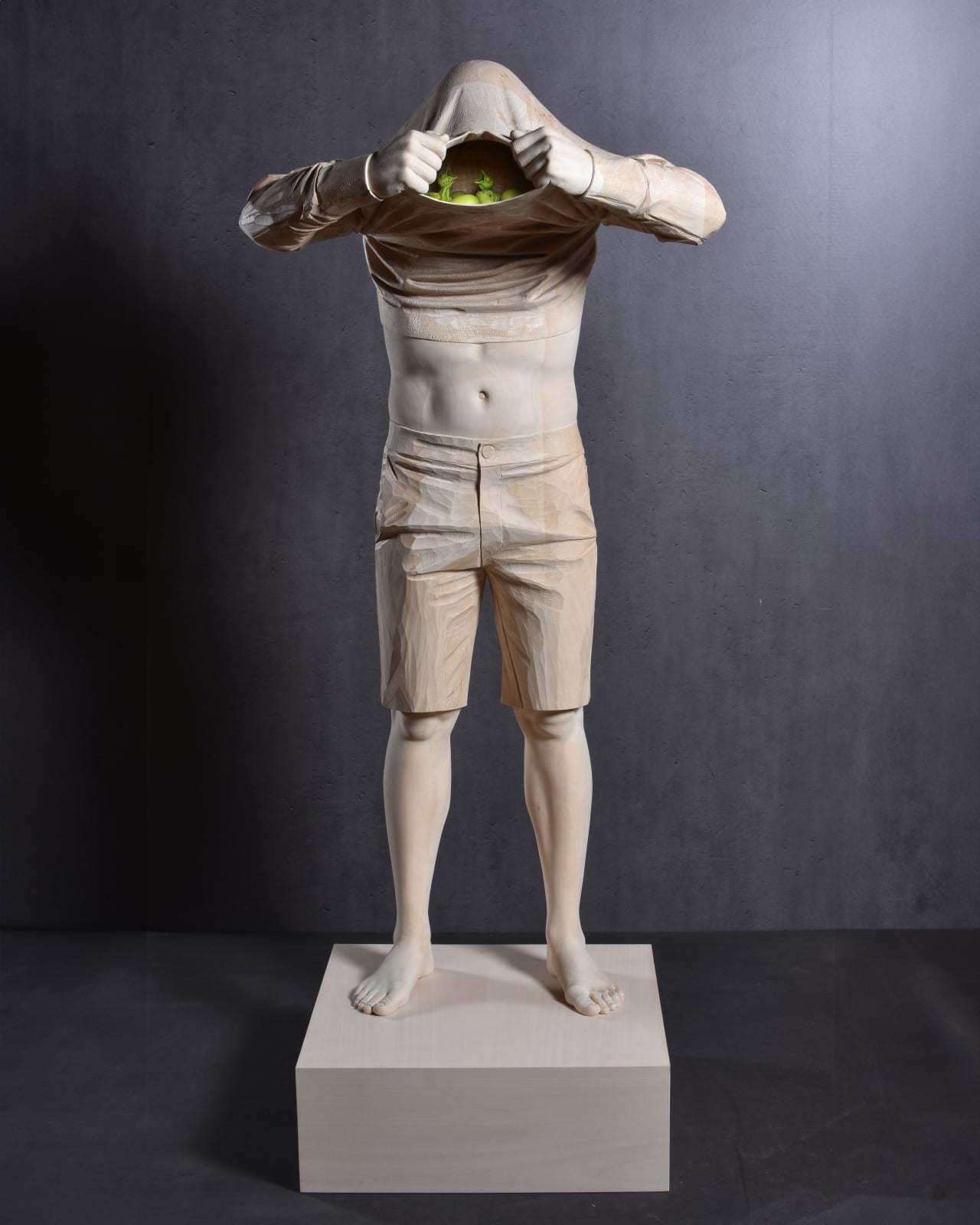 Christian Verginer, Human Biotope III, 2024