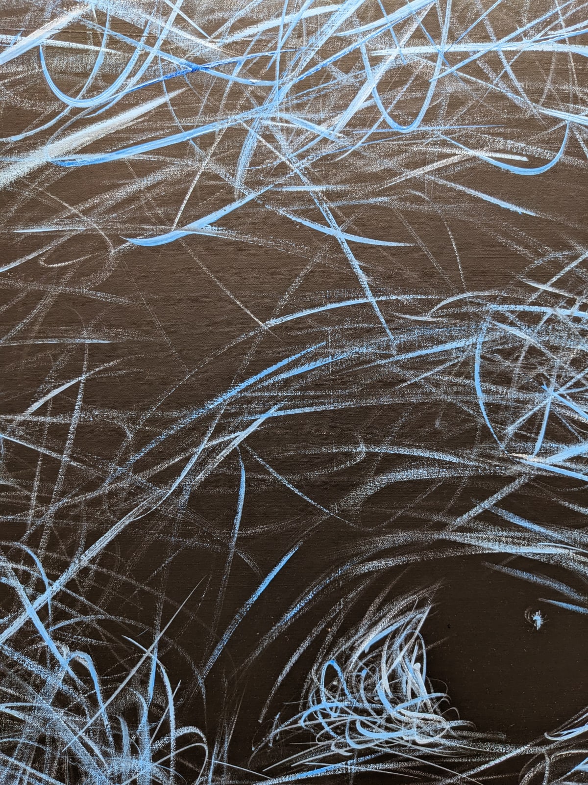 Hom Nguyen, Human Blue, 2025