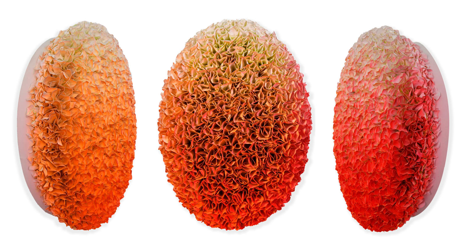 Zhuang Hong-Yi, Orange Blossom, 2025