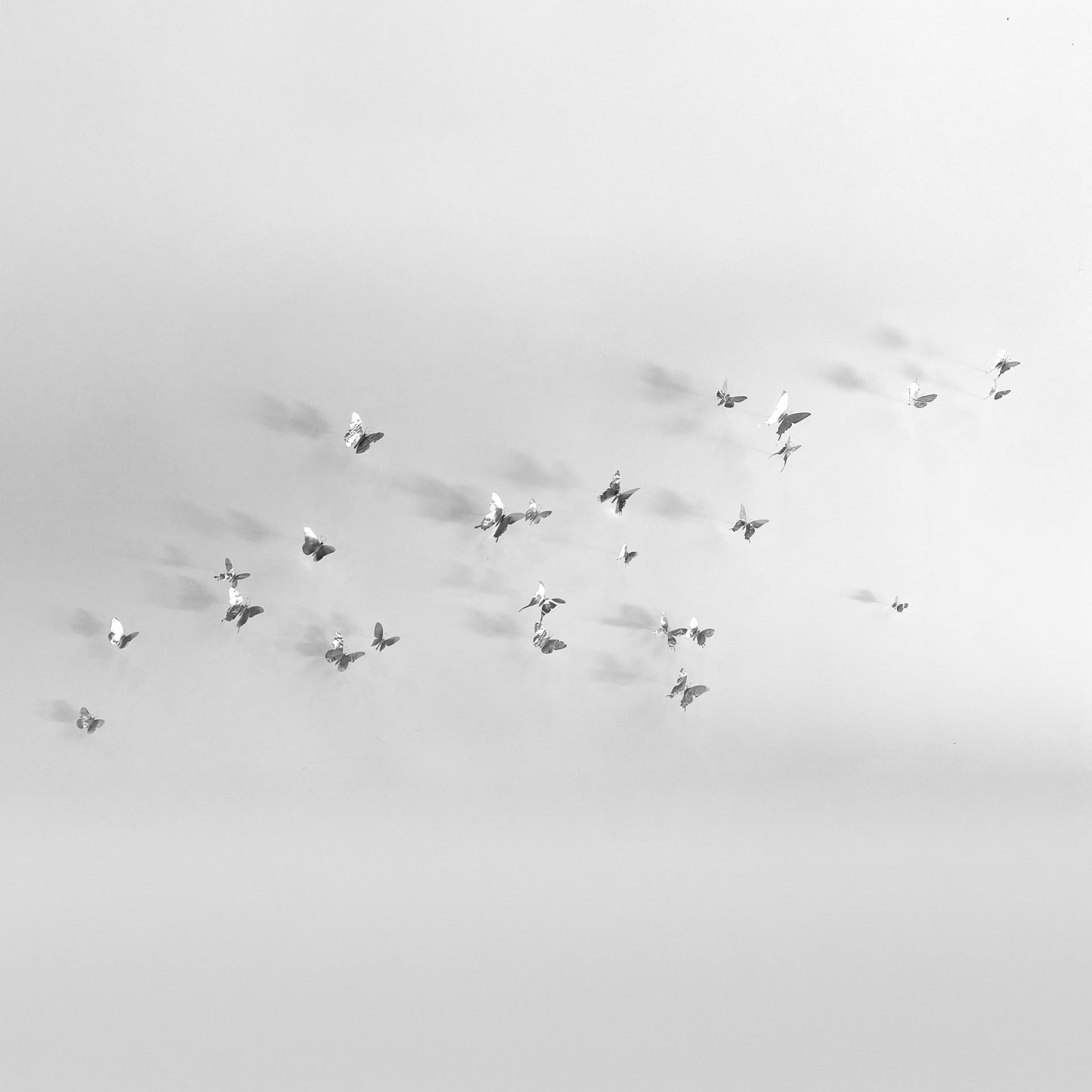 Paul Villinski, Reach, 2022