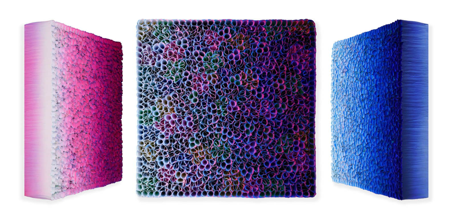 Zhuang Hong-Yi, Petals in Time, 2025