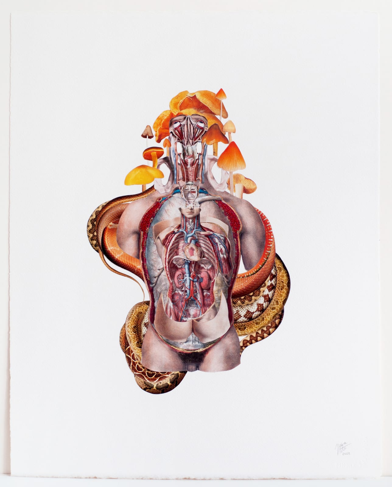 Janna Yotte, Opened It Up To Let It Down, 2022