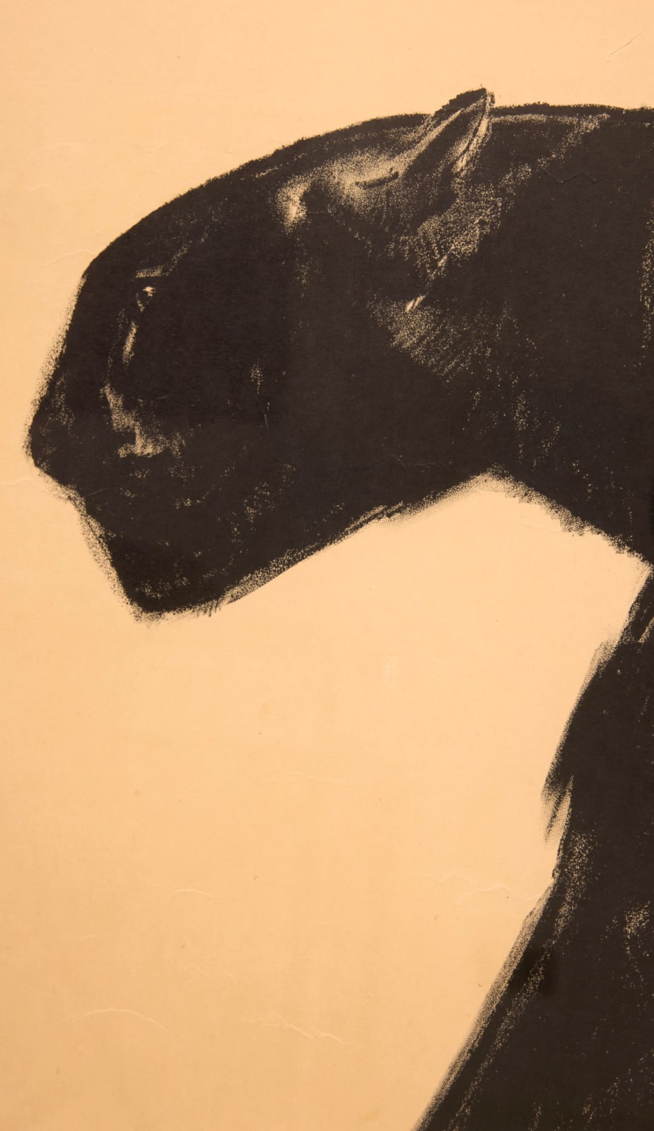 PAUL JOUVE, Panthère noire, c. 1922