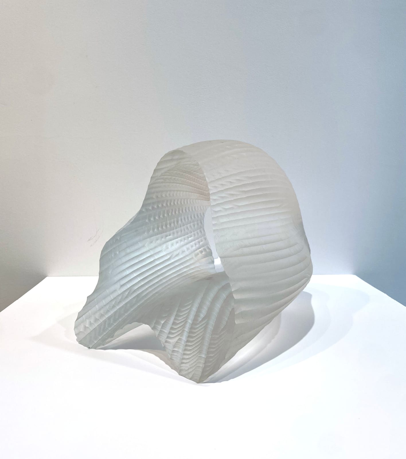 Jean Isnard, Turritopsis 4, 2023