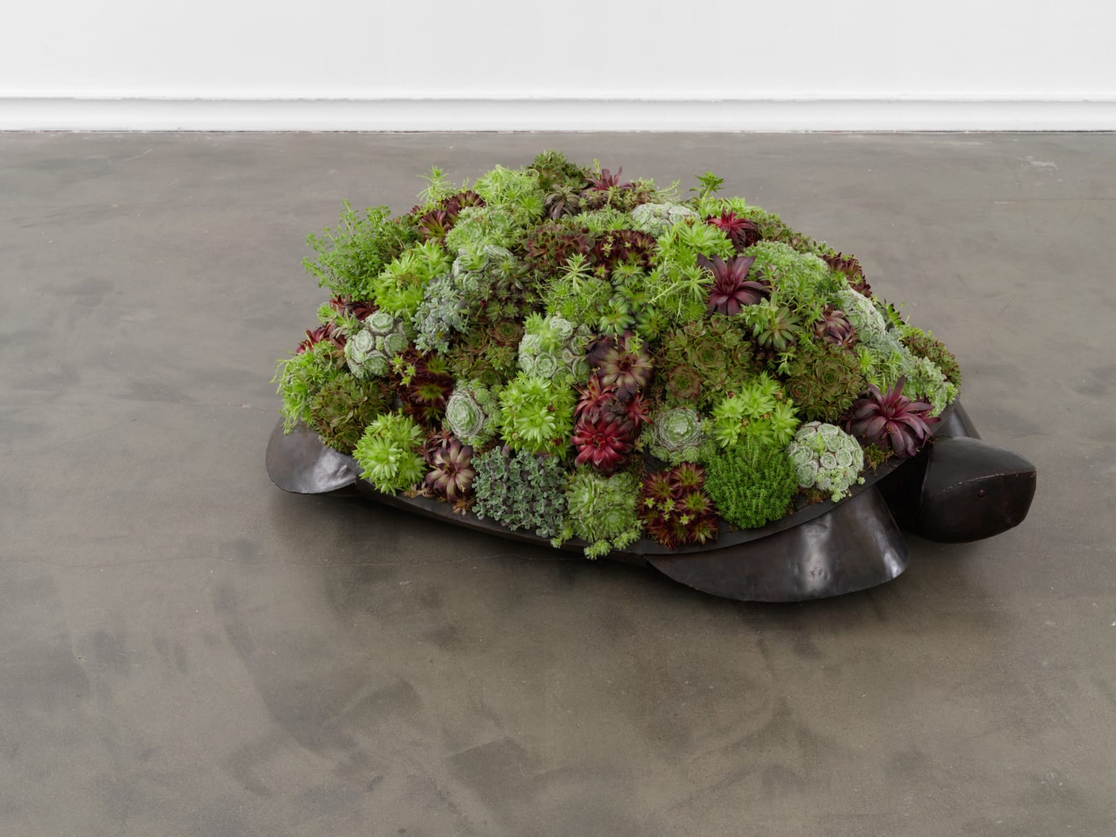 François-Xavier Lalanne, Tortue topiaire III, 2000