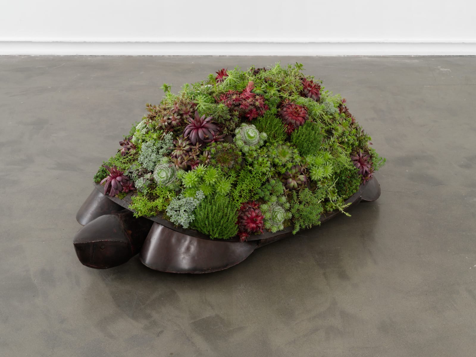 François-Xavier Lalanne, Tortue topiaire III, 2003